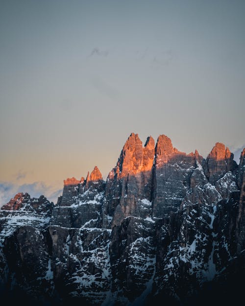 Foto profissional grátis de bico, com frio, corroído