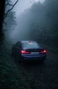 A luxury car surrounded by dense forest fog on a moody day, emphasizing solitude and nature's mystery.