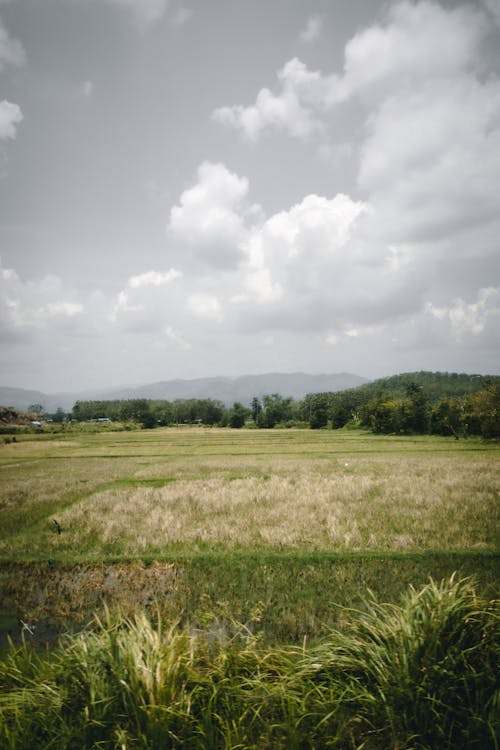 Fotobanka s bezplatnými fotkami na tému dedinský, farma, hory