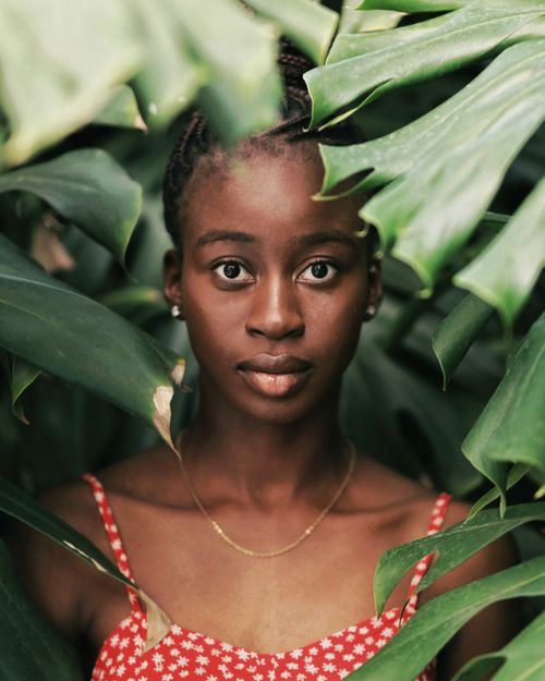 Free Striking portrait of a woman surrounded by lush tropical leaves in summer. Stock Photo