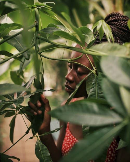 Woman Looking at Leaves