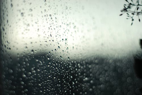 Бесплатное стоковое фото с вода, выборочный фокус, дождь