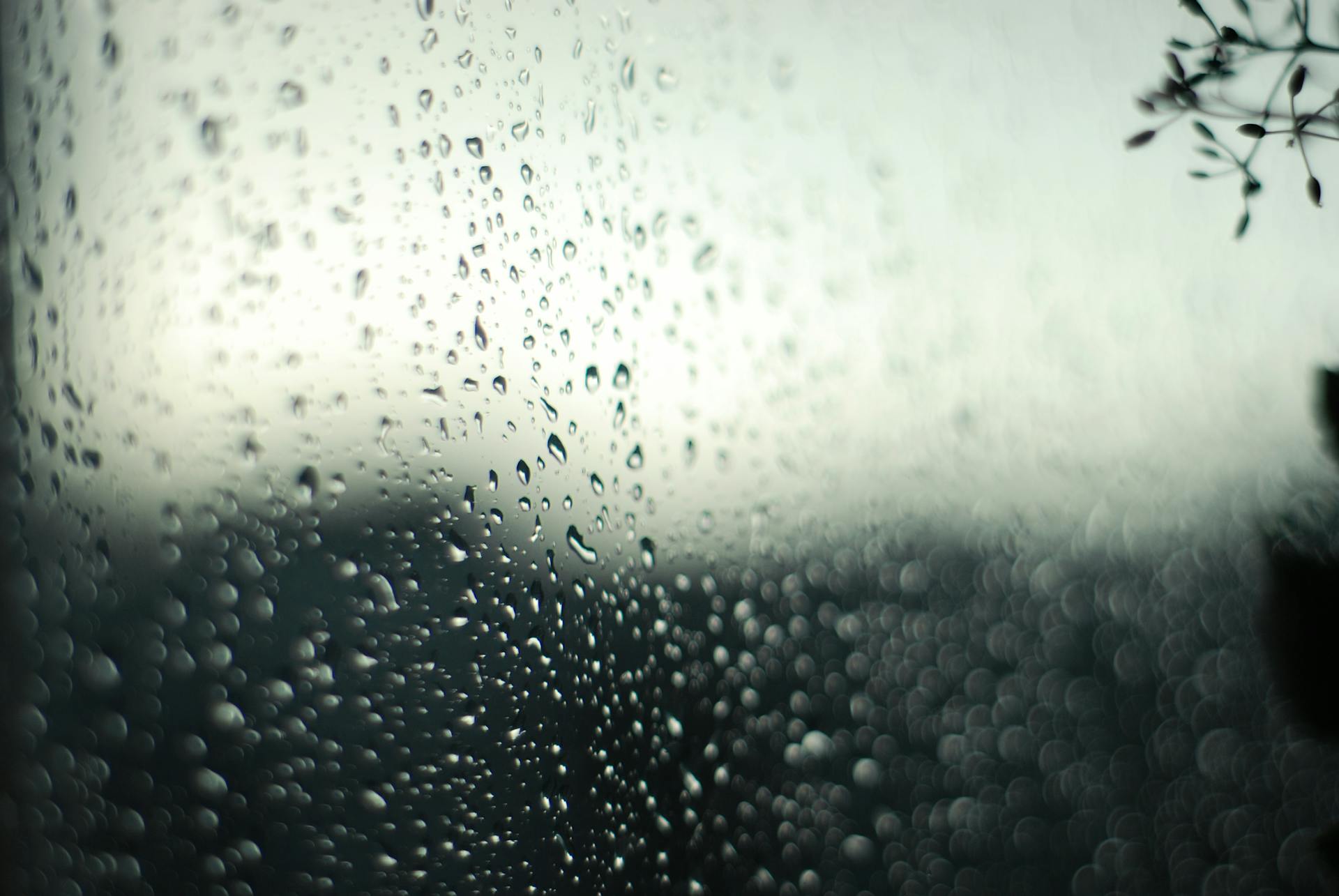 A dreamy view of raindrops on a window with a blurred natural backdrop, evoking tranquility.