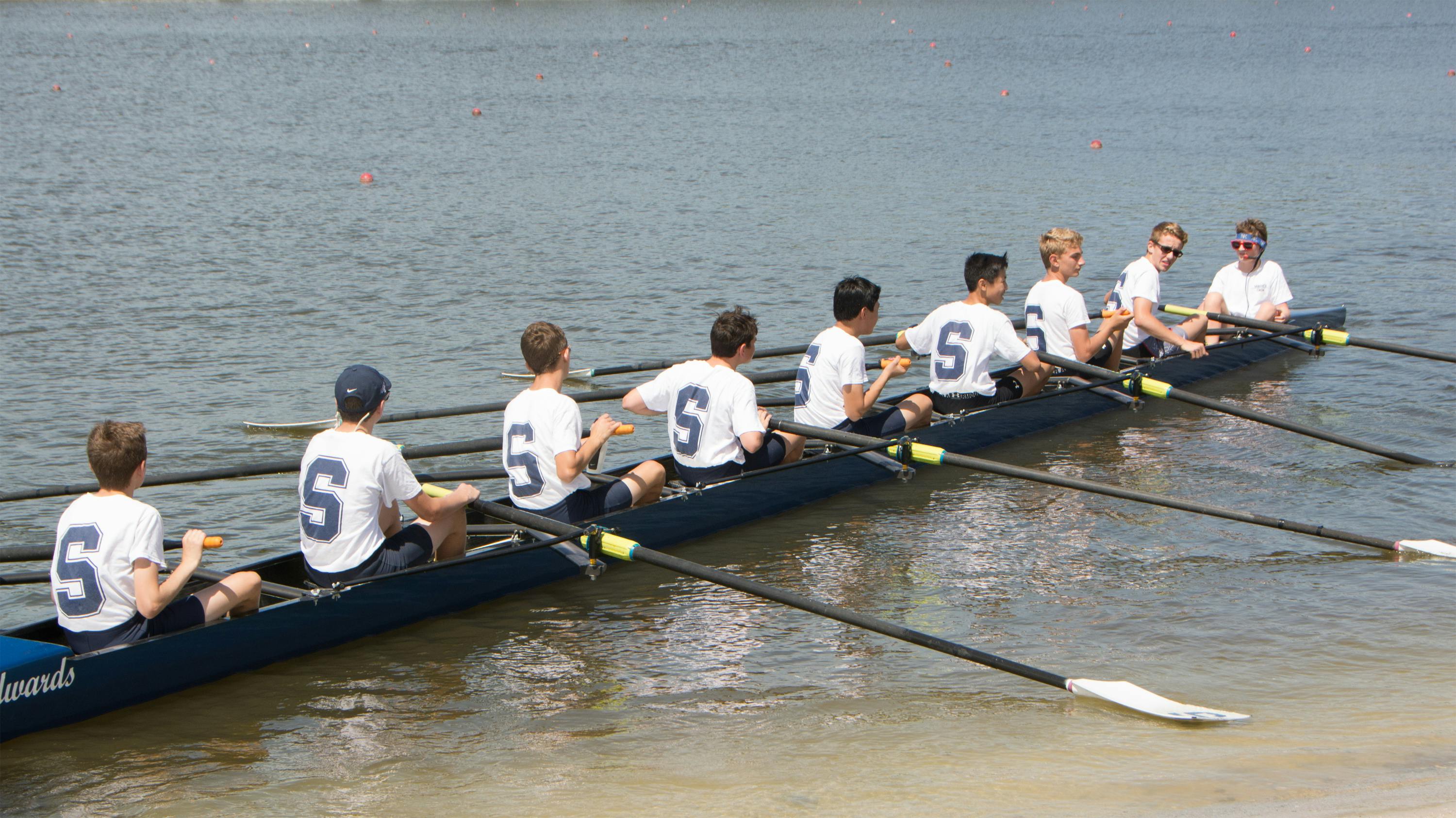 Free stock photo of Rowing competition