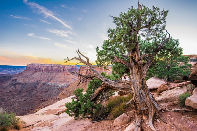 Magnifique paysage du parc national de Canyonlands avec des formations rocheuses
