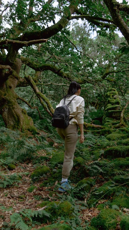 A Woman in a Sweater Walking in a Forest