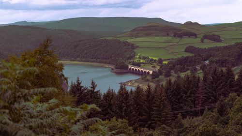 Free A beautiful aerial view of a countryside lake with lush greenery and an arched bridge. Stock Photo