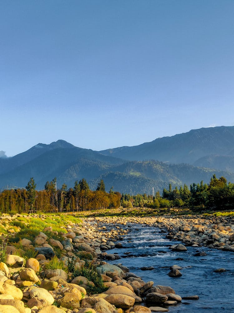 A Rocky River Near Tree Filled Mountains