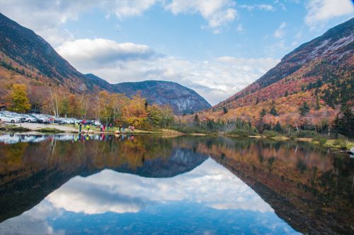 Free stock photo of fall foliage Stock Photo