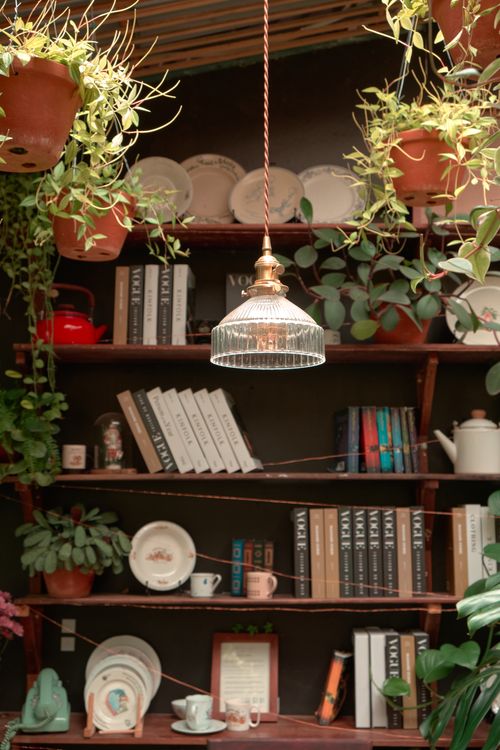 Free A cozy indoor bookshelf adorned with books, plants, plates, and a stylish hanging light. Stock Photo