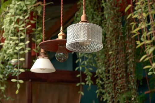 Free Artistic lamps hanging amidst lush green plants in a rustic outdoor setting. Stock Photo