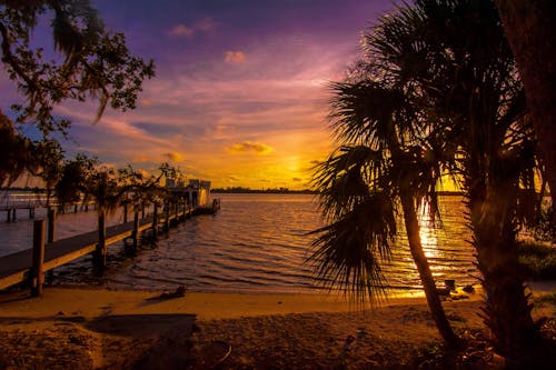 Siluet Pohon Palem Di Dekat Perairan Dan Dermaga Laut Selama Golden Hour