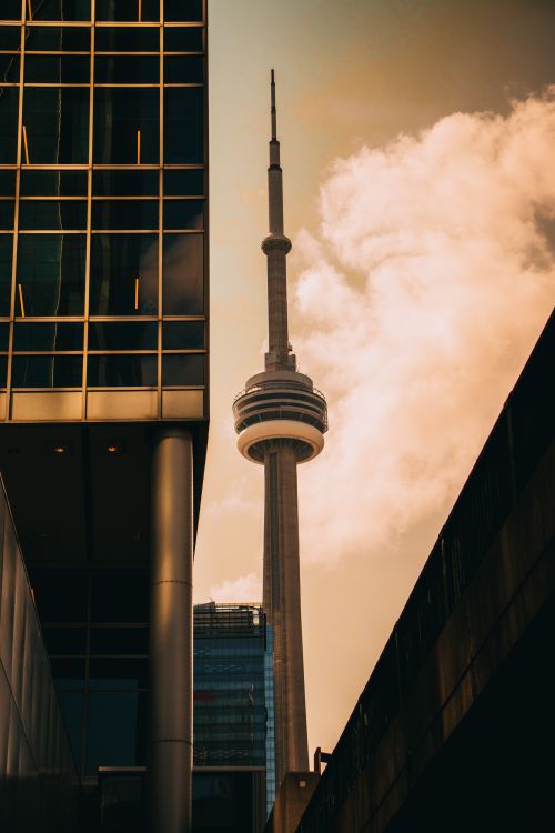 Free Capture of the iconic CN Tower framed by Toronto's urban architecture during daylight. Stock Photo