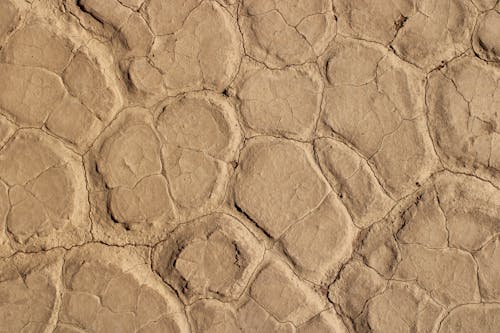 Close Up Photo of Cracked Mud