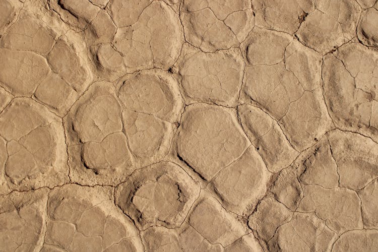 Close Up Photo Of Cracked Mud