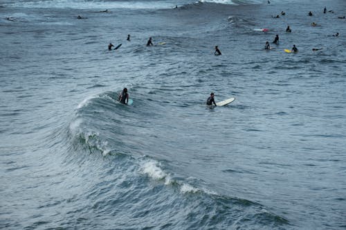 People Surfing in the Ocean