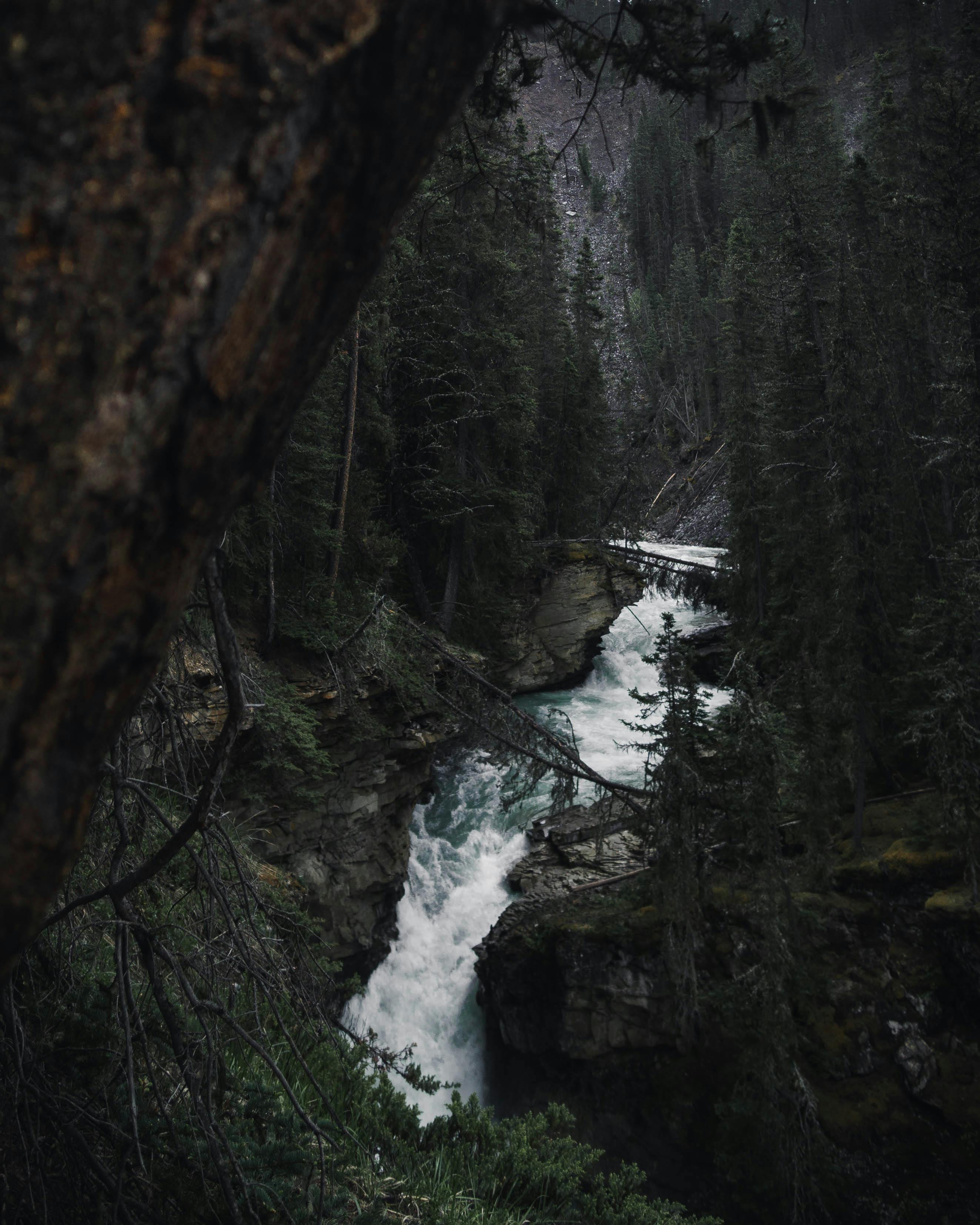 宁静的瀑布从郁郁葱葱的森林中倾泻而下，景色宁静而优美