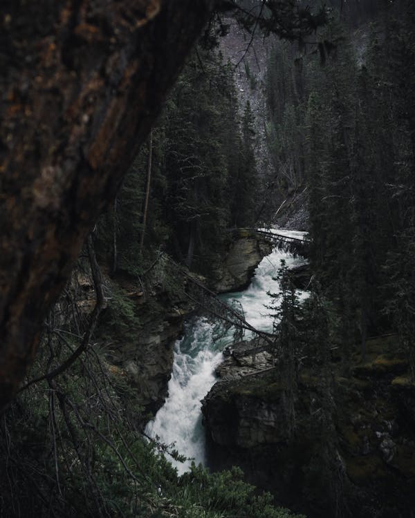 树木包围的瀑布的延时摄影