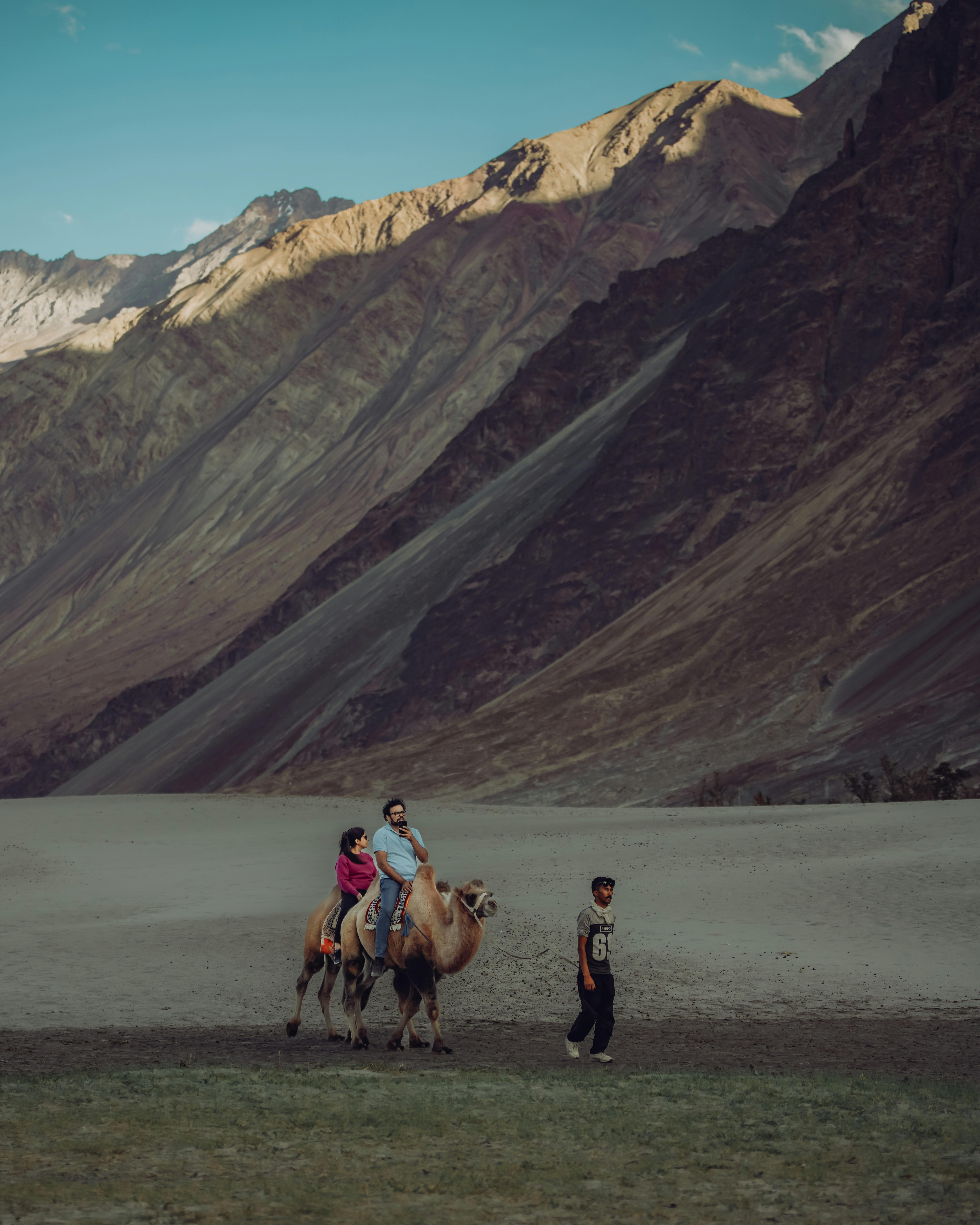 2,130 Nubra Valley Stock Photos, High-Res Pictures, and Images