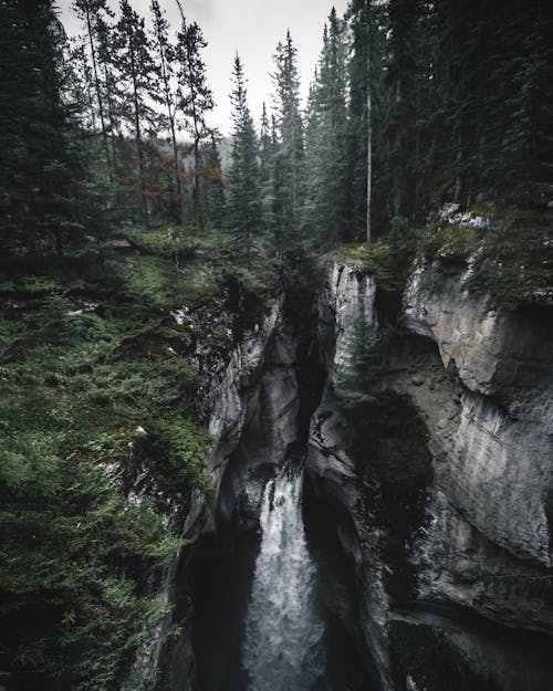 森の間の滝