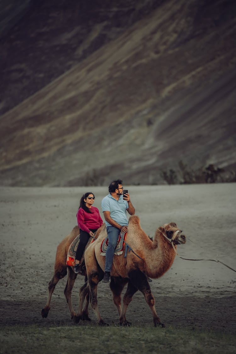 Man And Woman Riding Camel On Desert