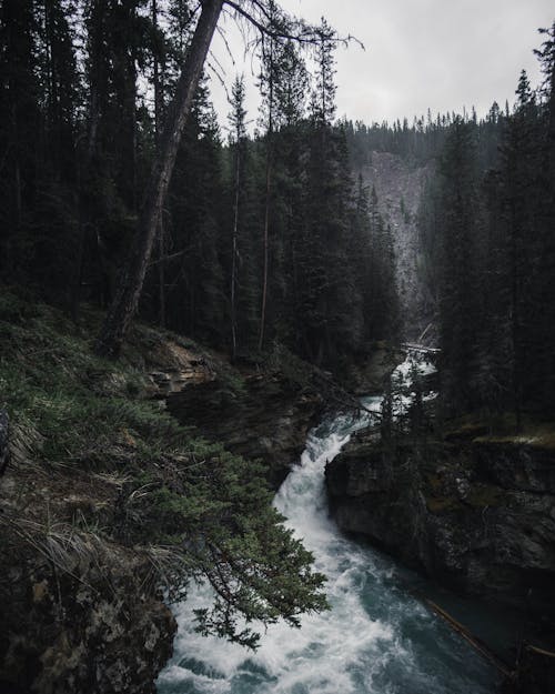 Waterfalls in Forest