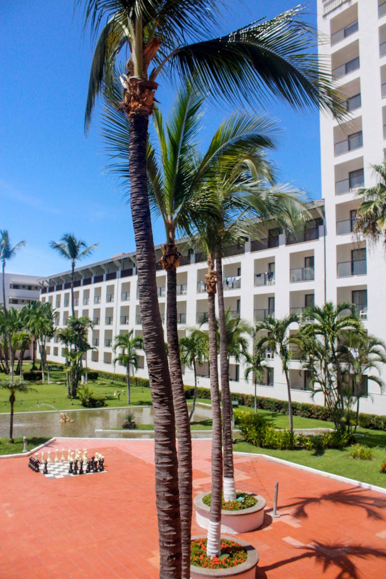 Palm Trees In Front Of A Hotel 