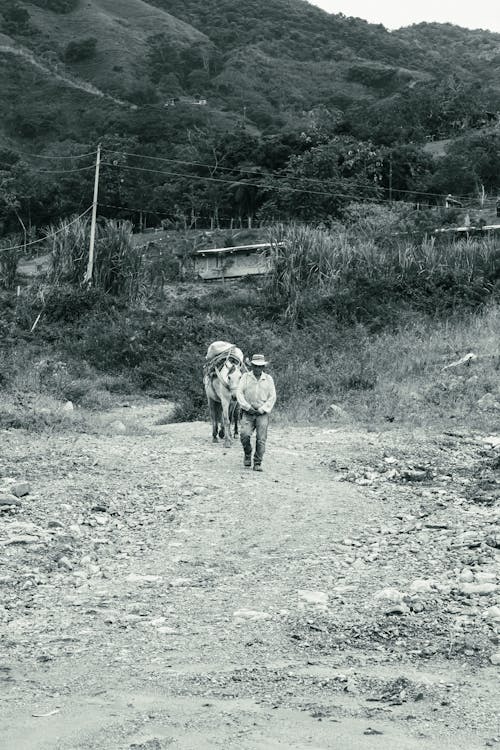 Man Leading Pack Horse in Black and White