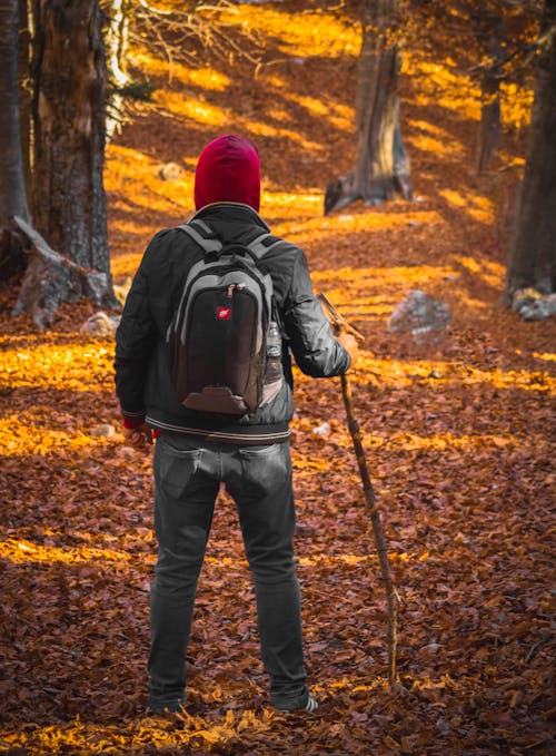 Foto profissional grátis de casaco, com frio, de pé