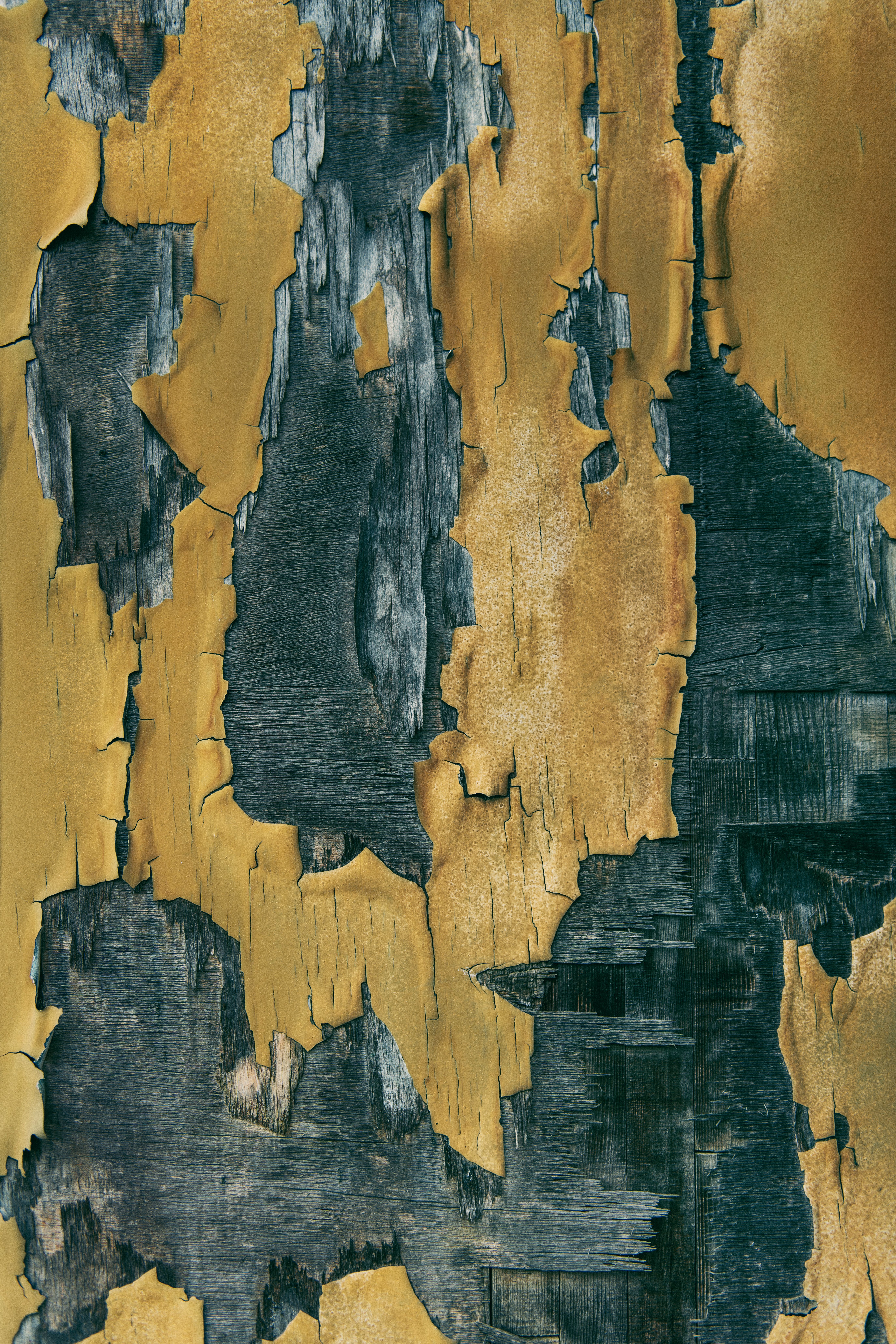 Wall with Flaking Paint · Free Stock Photo