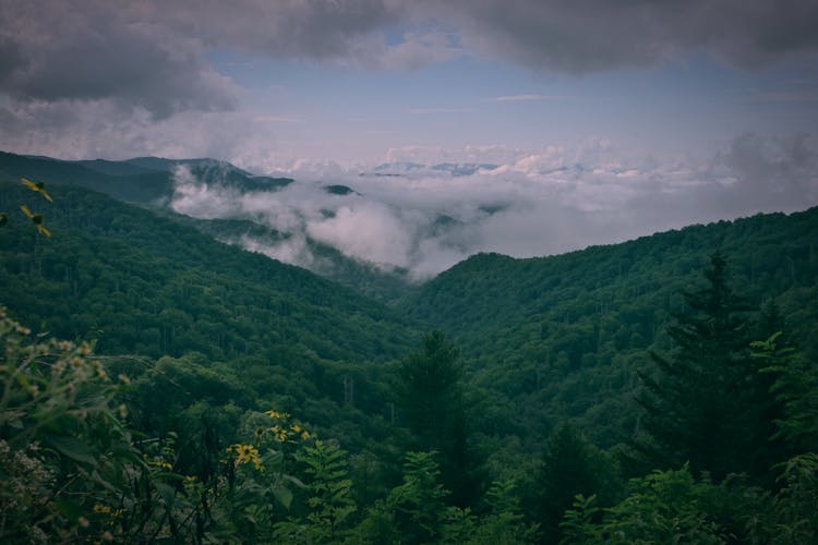 Great Smoky Mountains