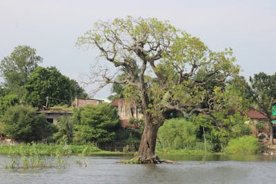 Alpine Trekking Backpack