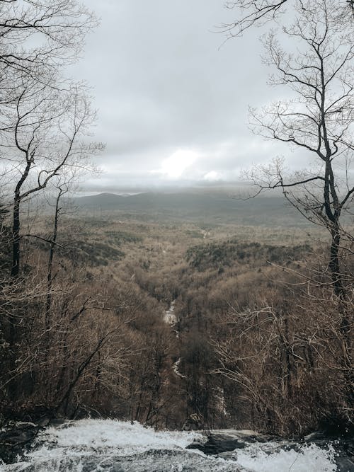 Gratis stockfoto met bergtop, bewolking, bomen