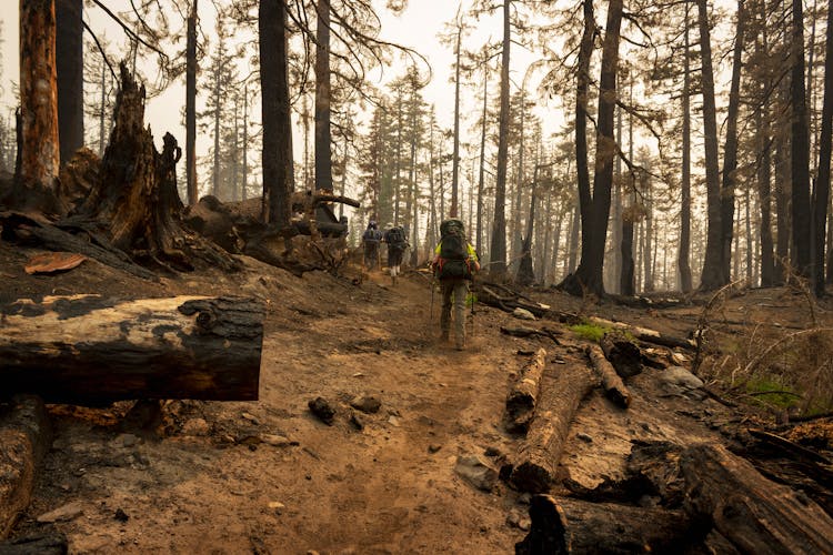 A People Going Hiking 