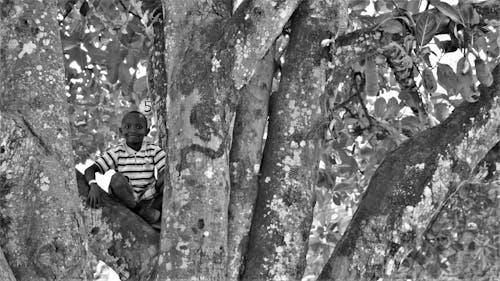 Grayscale Photo of Boy Sitting on Gray Tree Trunk