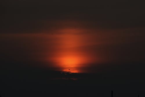 Free stock photo of early sunrise, meeting sunrise, mood