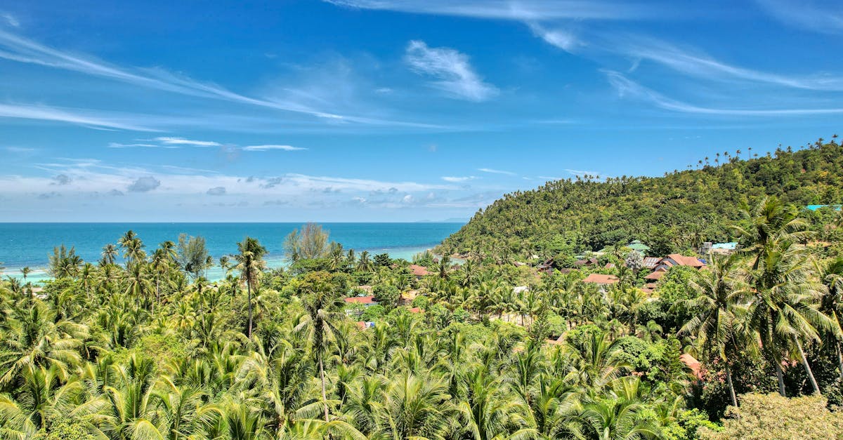 สลากกินแบ่งรัฐบาลสัญจร สุราษฎร์ธานีเจ้าภาพ ออกรางวัล 1 มีนาคม