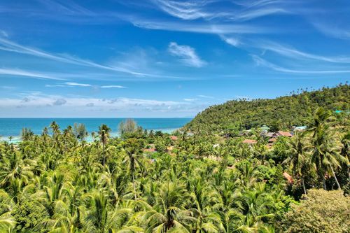 Free Scenic view of lush coconut groves and ocean in Ko Pha-ngan, Thailand. Stock Photo