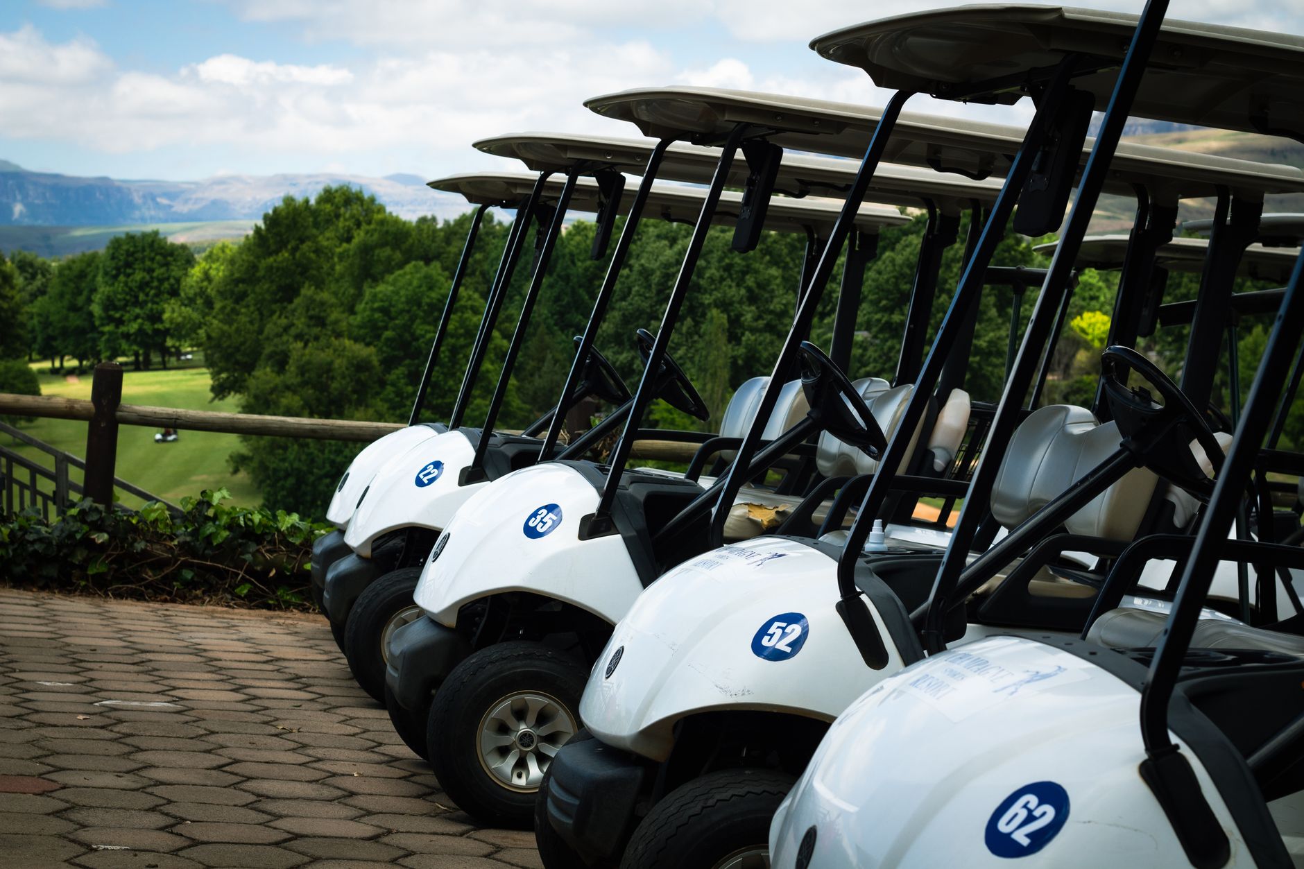 Golf carts parked in a row on a scenic golf course with lush greenery.