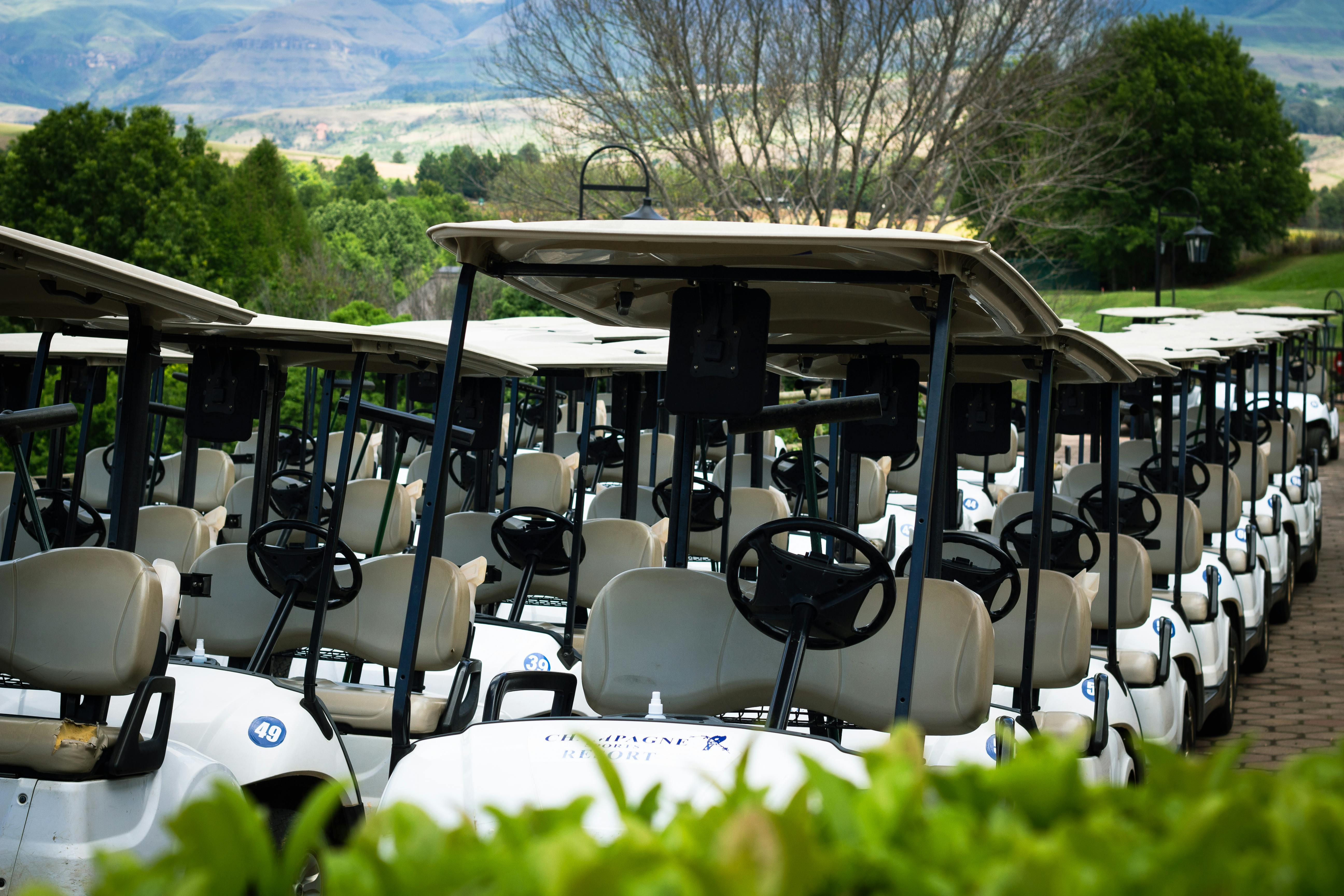 golf carts beside green trees