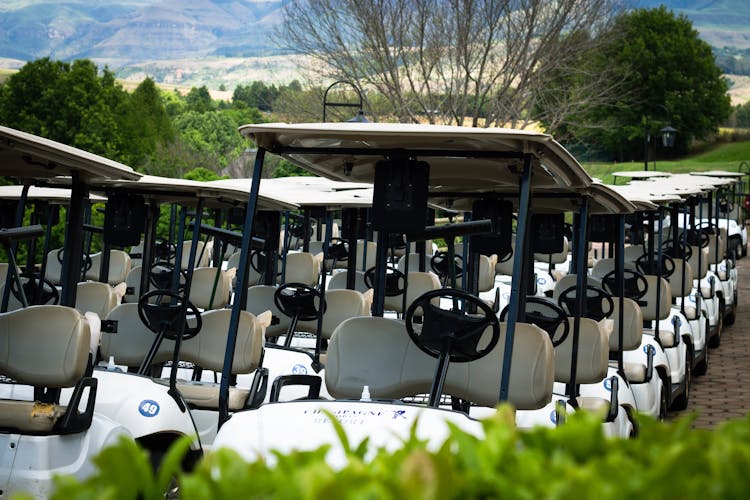 Golf Carts Beside Green Trees