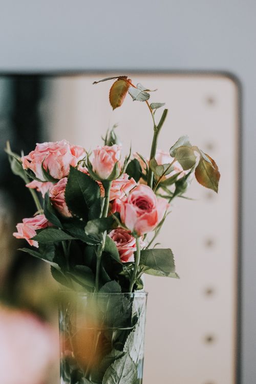 Free Charming still life of pink roses elegantly arranged in a glass vase, perfect for home decor inspiration. Stock Photo