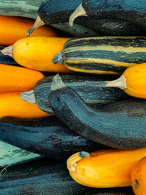 Close-Up shot of Newly Harvest Courgettes