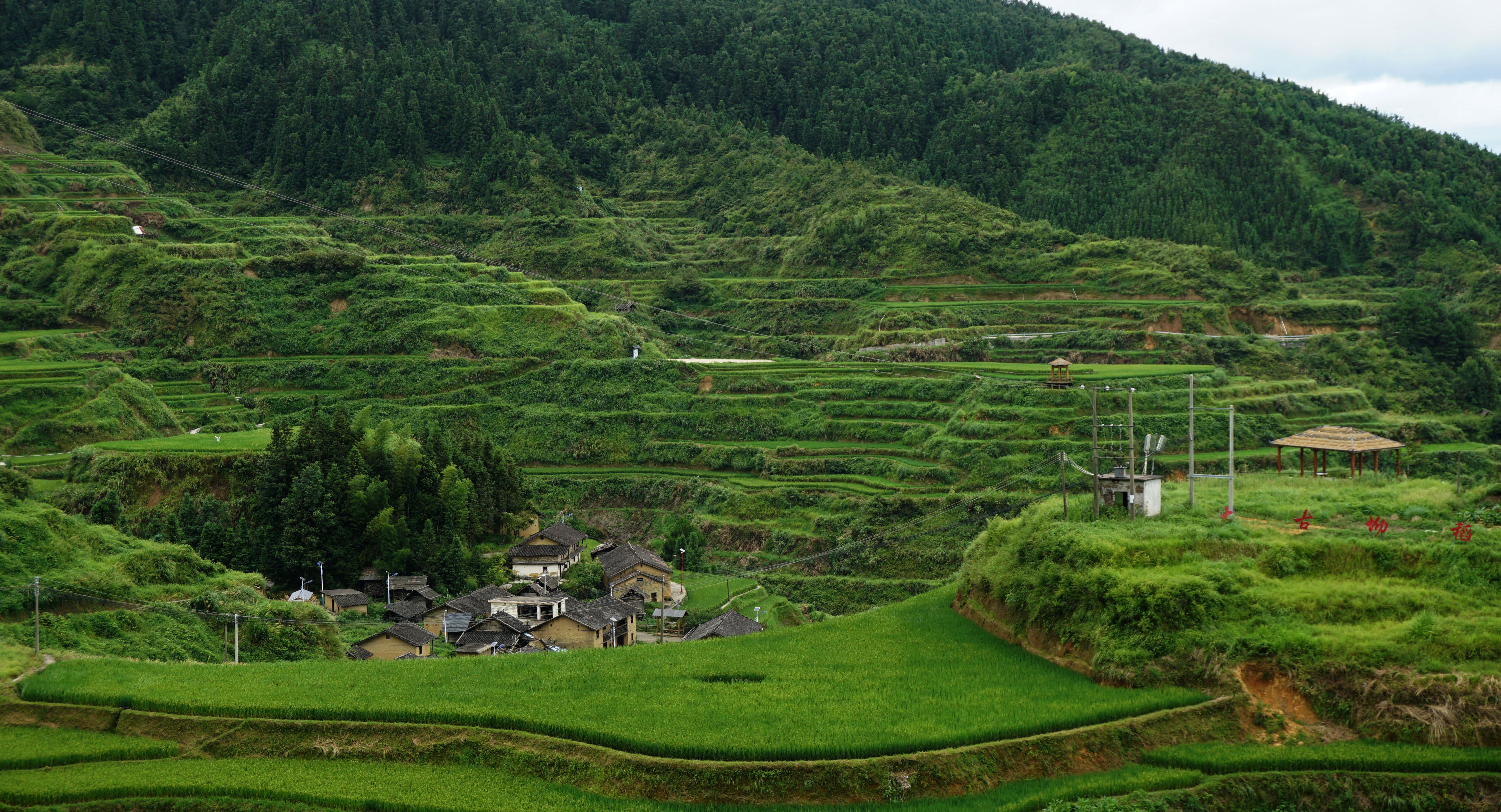 Houses in the Mountain Valley · Free Stock Photo