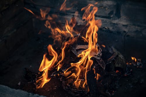 담배를 피우다, 모닥불, 불의 무료 스톡 사진
