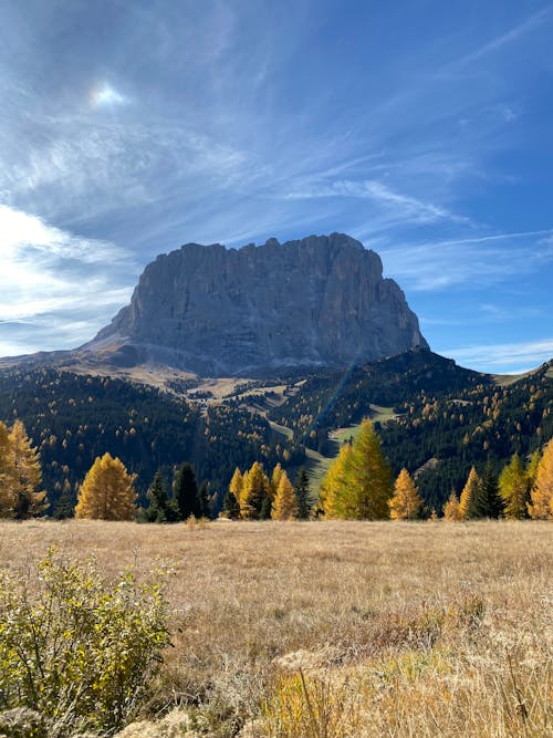 Scenic Autumn Landscape of a Mountain 