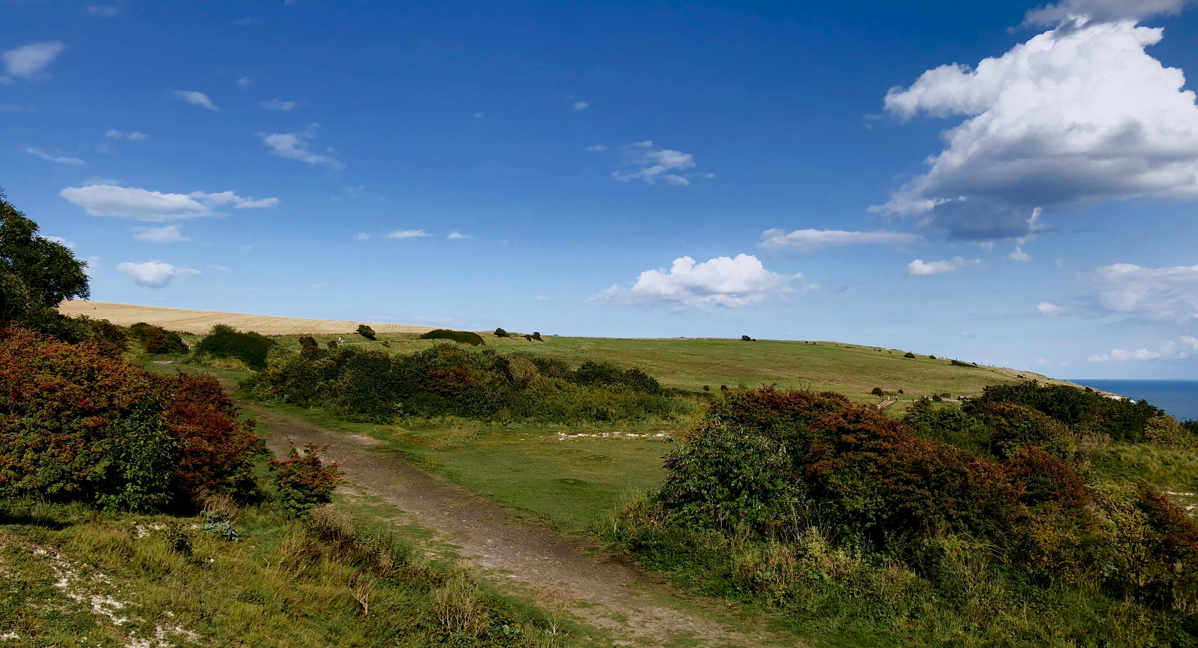 Free stock photo of dover, england, field