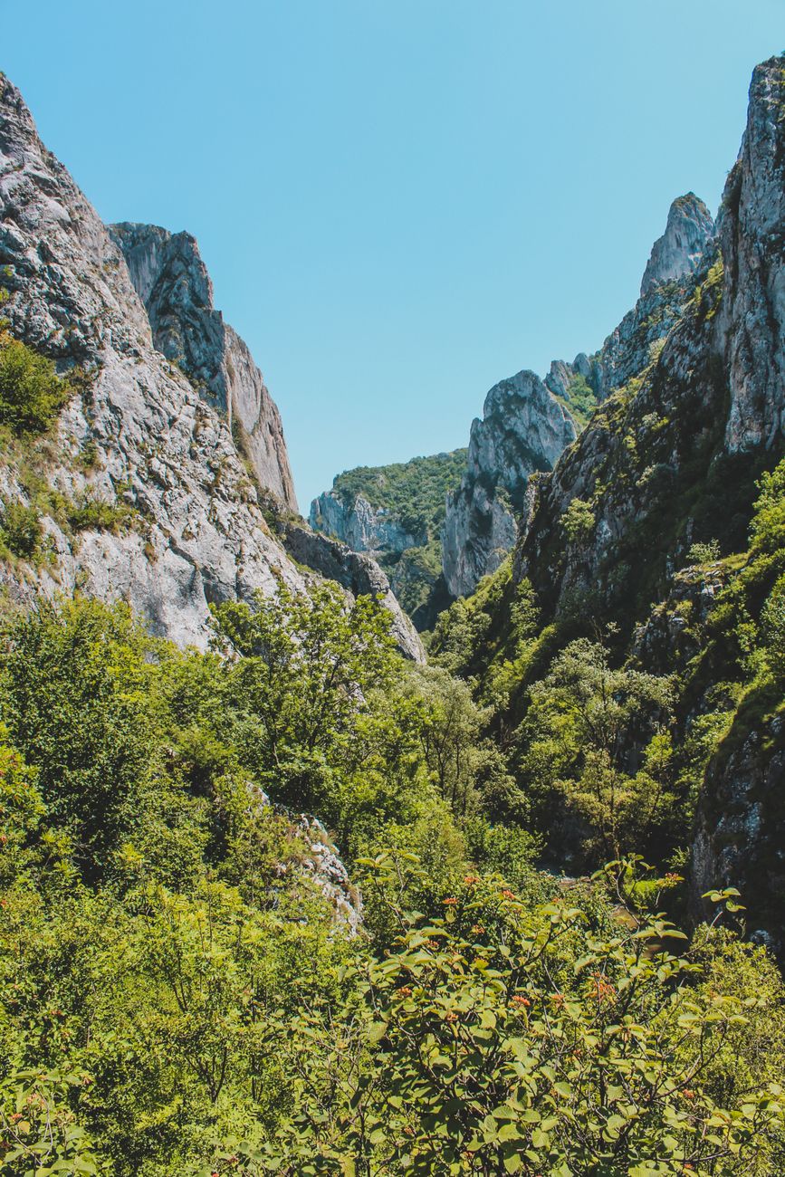 Parcul Național Cheile Bicaz-Hășmaș lansează sistem de scări pentru pești pentru facilitarea migrației