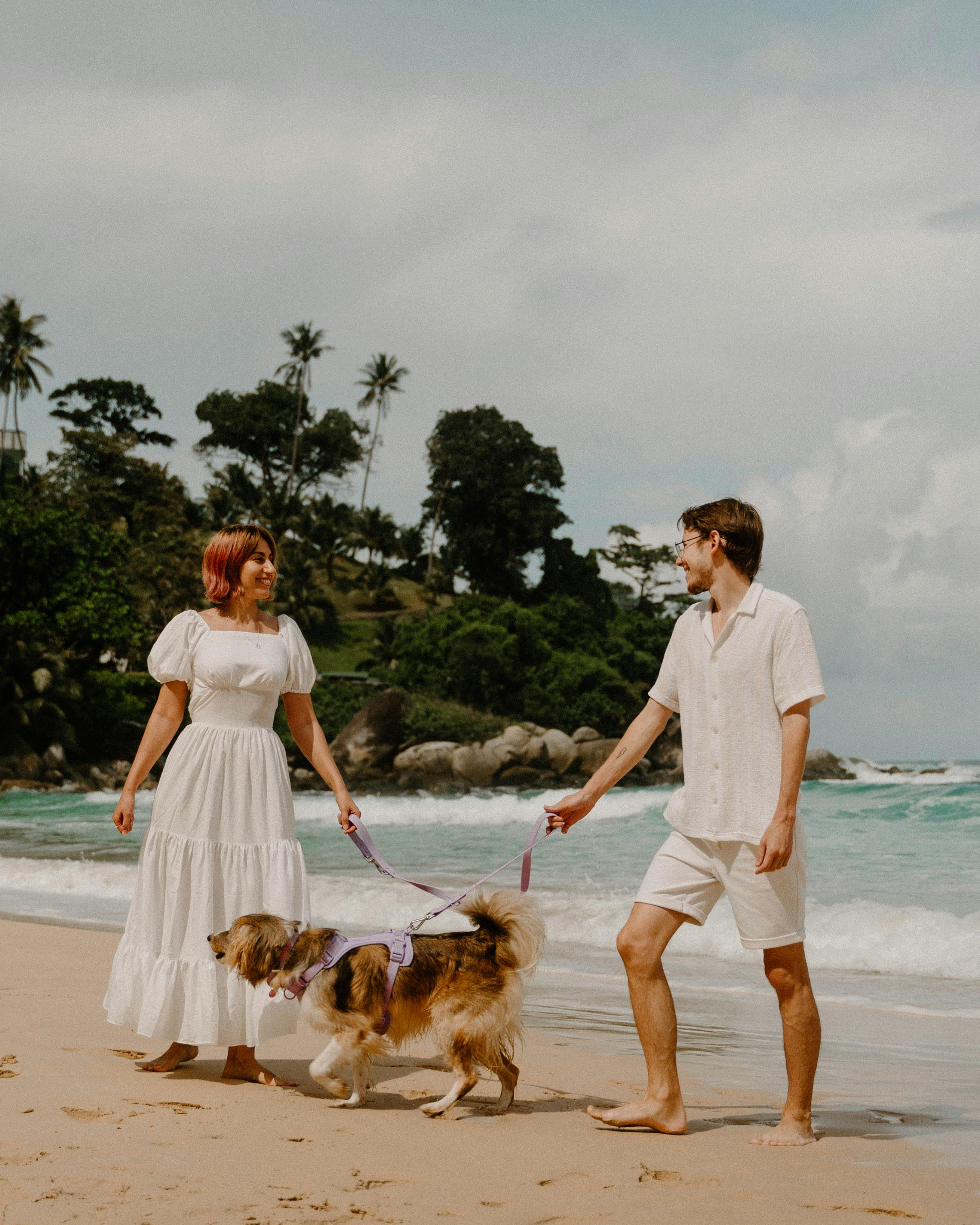 man and woman walking their dog on the beach