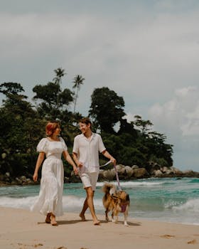 A couple walks their Australian Shepherd on a tropical beach in Phuket, Thailand.